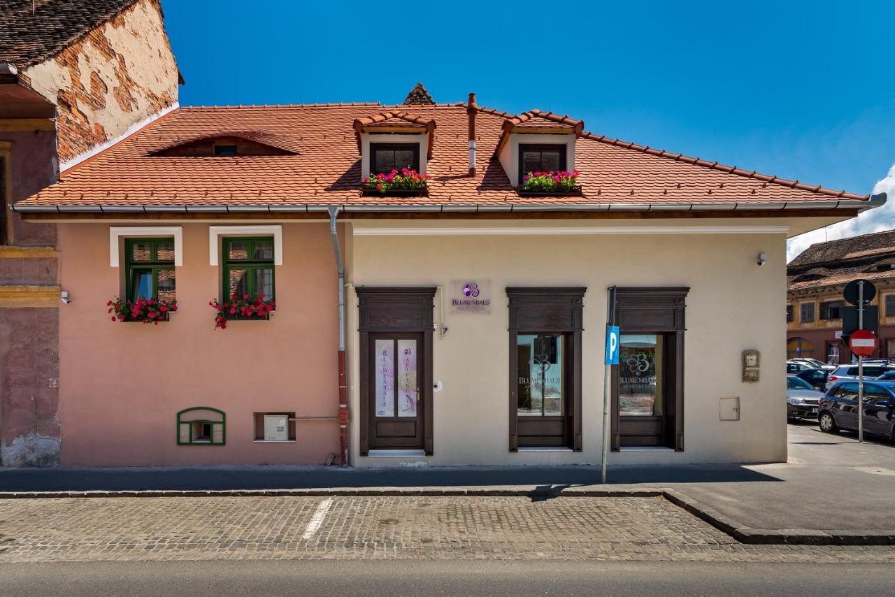 Blumenhaus Sibiu Exterior foto